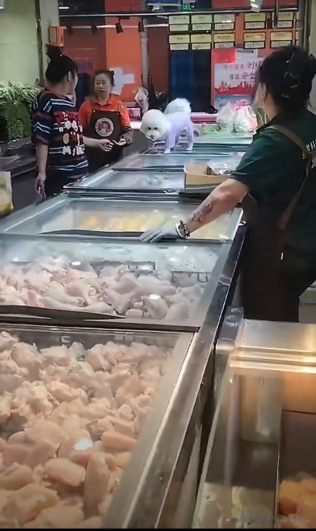 哈尔滨市南直商场，悦惠购二楼生鲜，宠物狗在冷柜上随便走，食品安全呢？