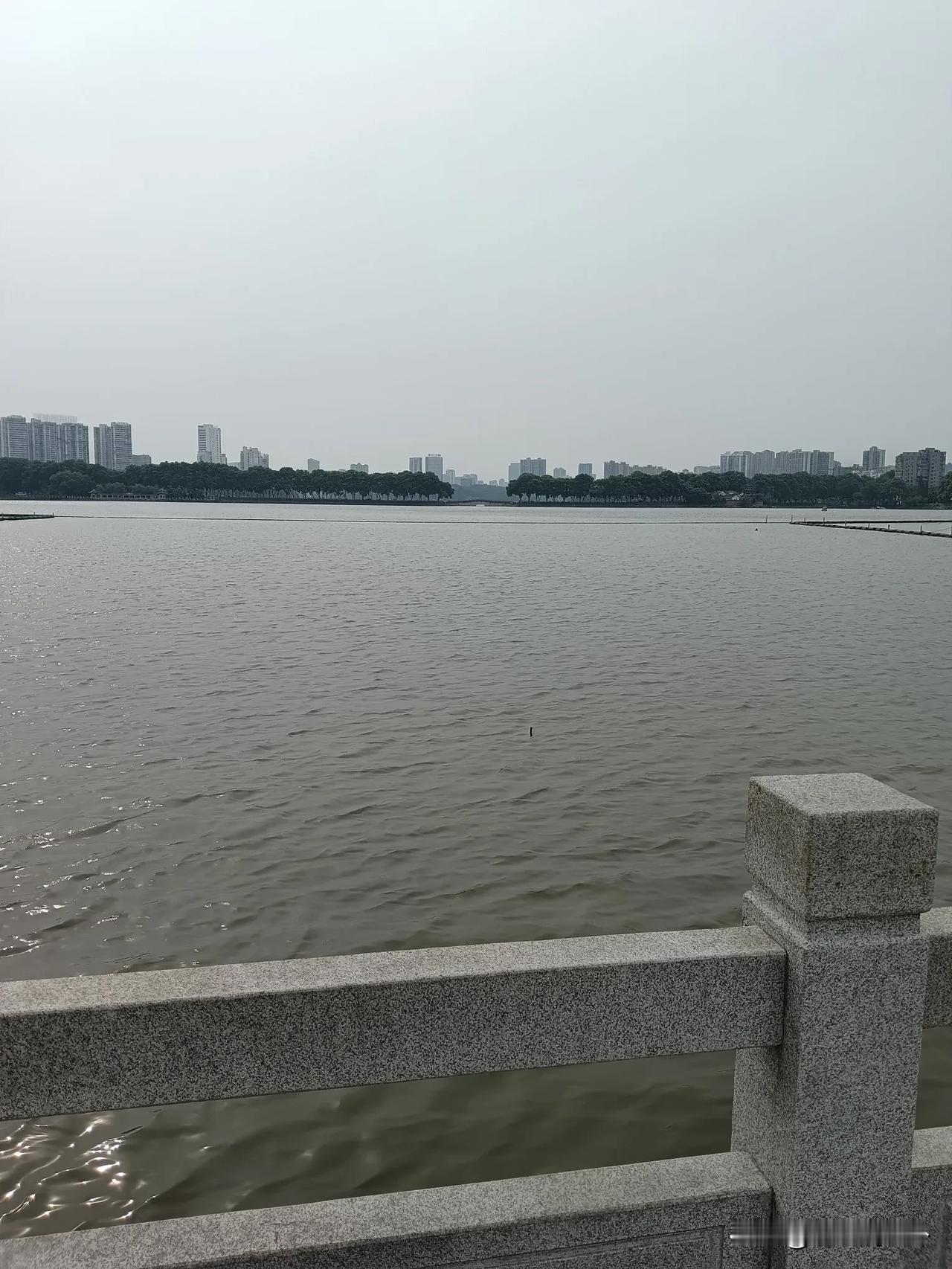 夏天，太热，
大家特别适合做冰镇西瓜 来解暑。
西瓜性凉 ，好吃，解暑， 但是，