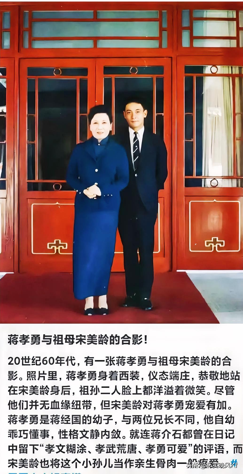 夏日生活打卡季
