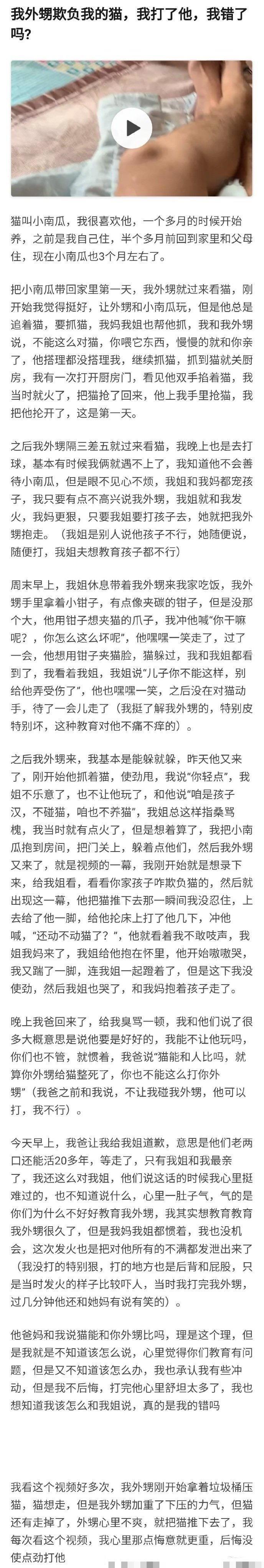 我侄子欺负我的猫，我打了他 ​​​