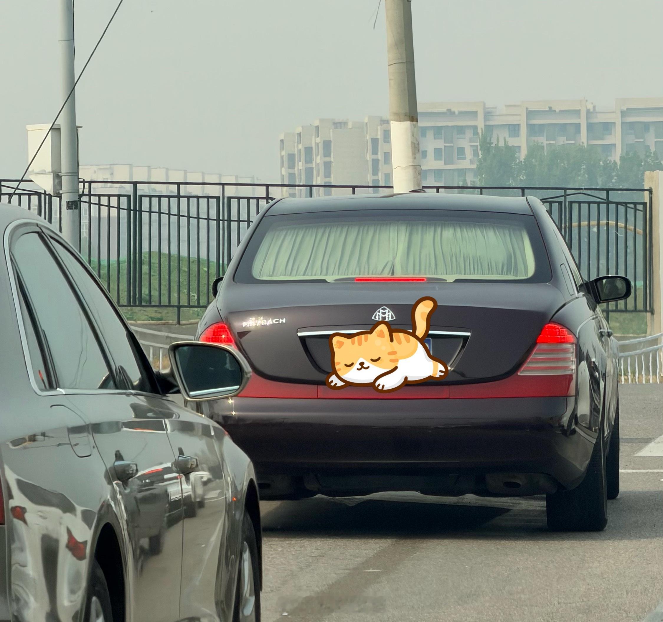 目测车里是个老牌大佬 