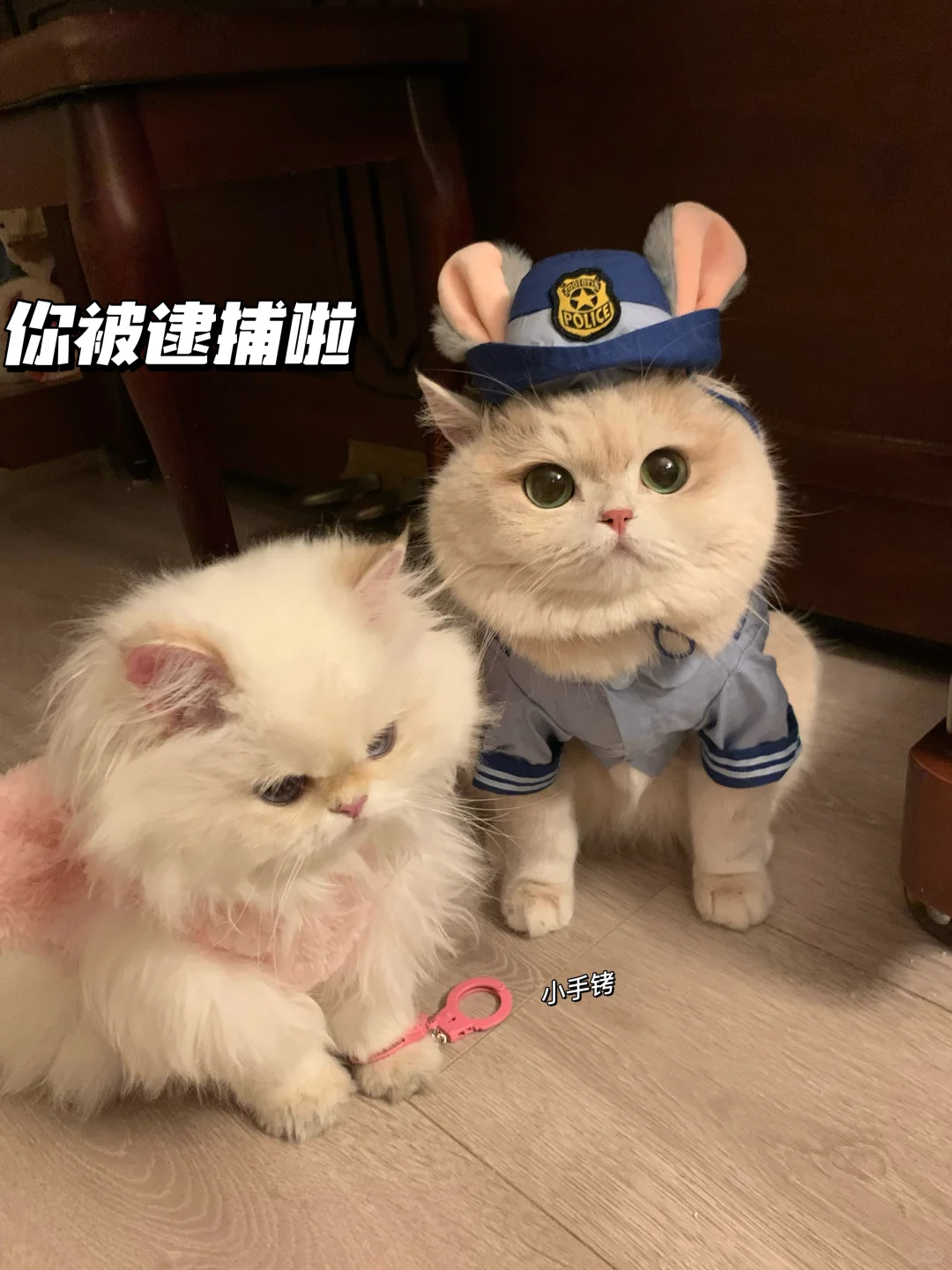 你被逮捕啦