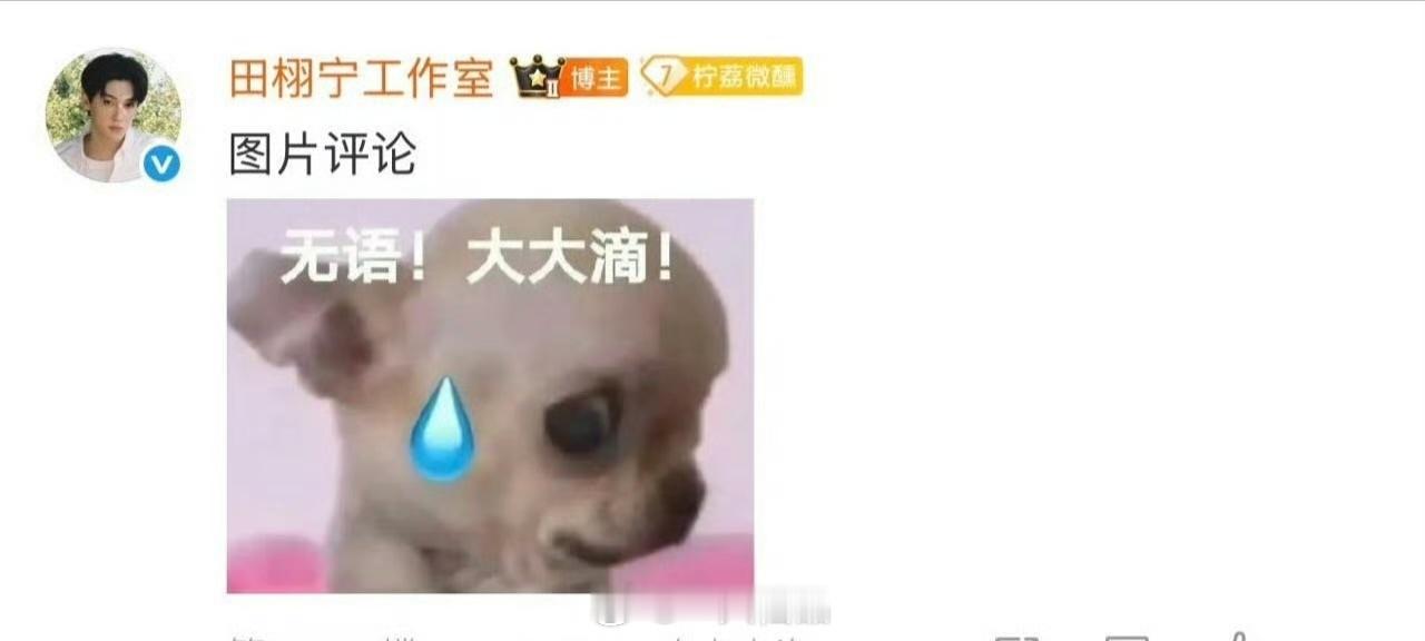 田栩宁工作室辟谣live图背景音相关不实谣言停止吧，到此结束吧， 期待明天田栩宁