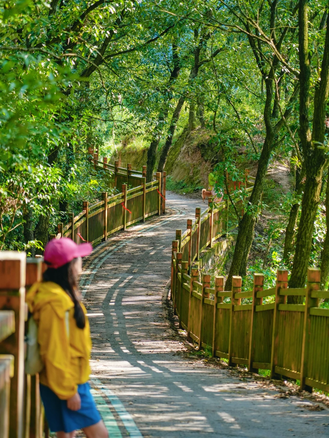 成都1h | 开车直达的山脊徒步路线！视野开阔