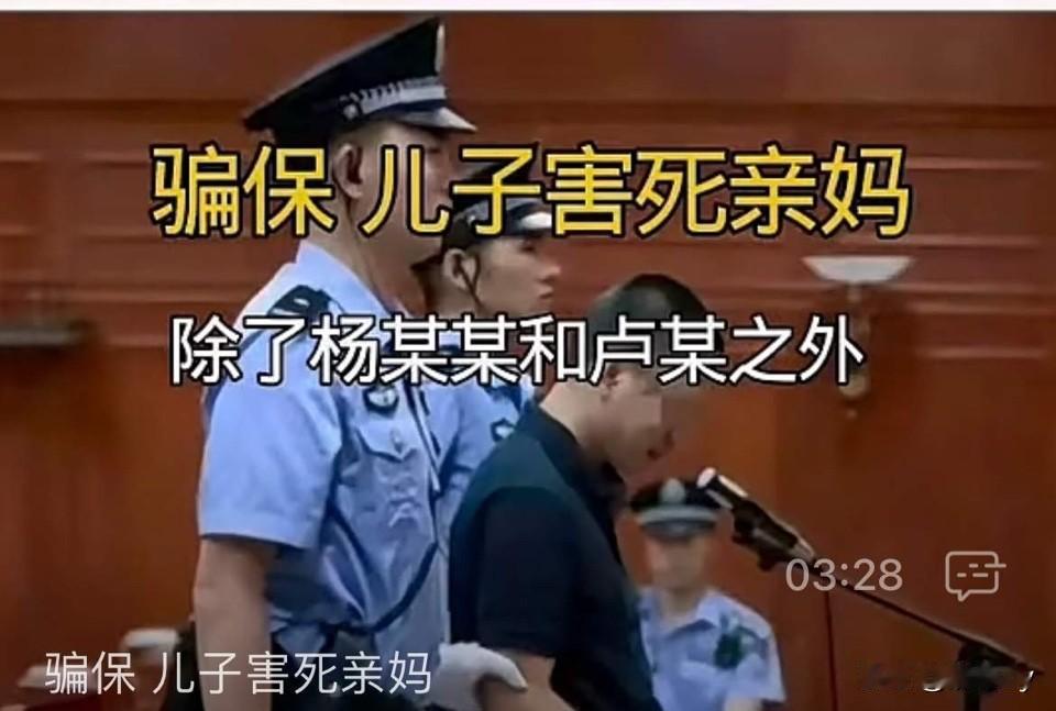 23岁的亲生儿子伙同他人制造车祸，撞死自己的亲生母亲，目的就为了骗取保险金！被害