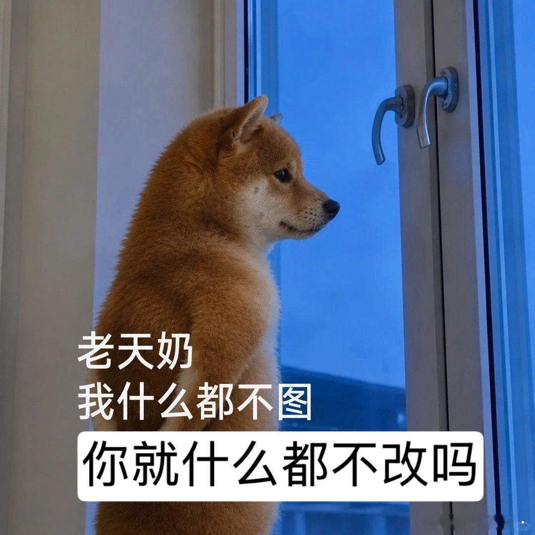 在这个号这么多年我写的所有记录都是可以串联在一起的，其实都是一回事儿：认识你自己