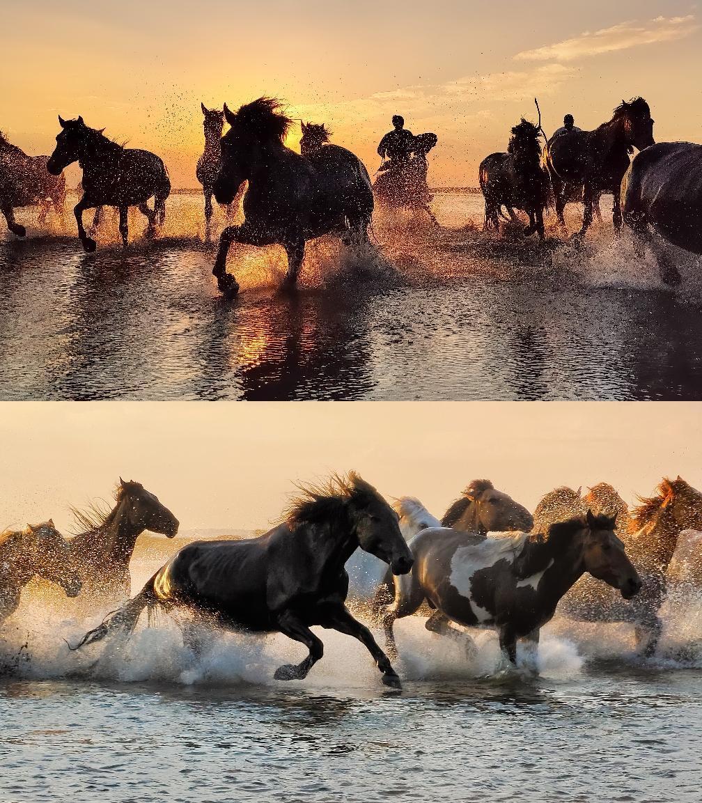 分享一组之前拍的马，大家春节快乐哇，马年大吉！