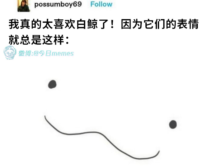 是喔(possumboy69)哎呀 ​​​