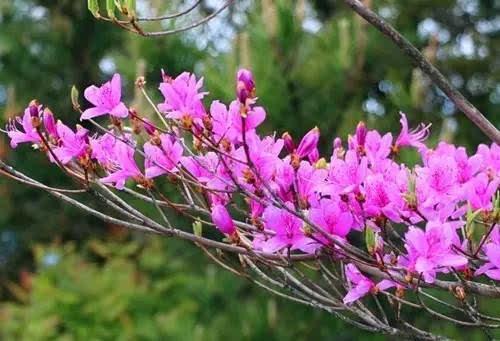 周三A股中阳向上修复，周四需留意板块轮动节奏！
回顾周三大A表现，4月喜迎开门红