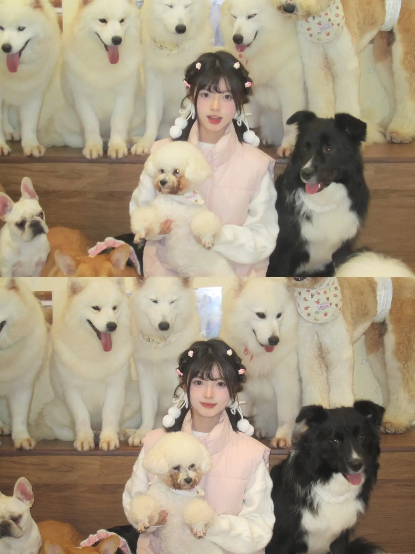 奇怪你爱小狗～ 谁能忍得住在冬天和毛茸茸的小狗狗贴贴啊啊！DOKA