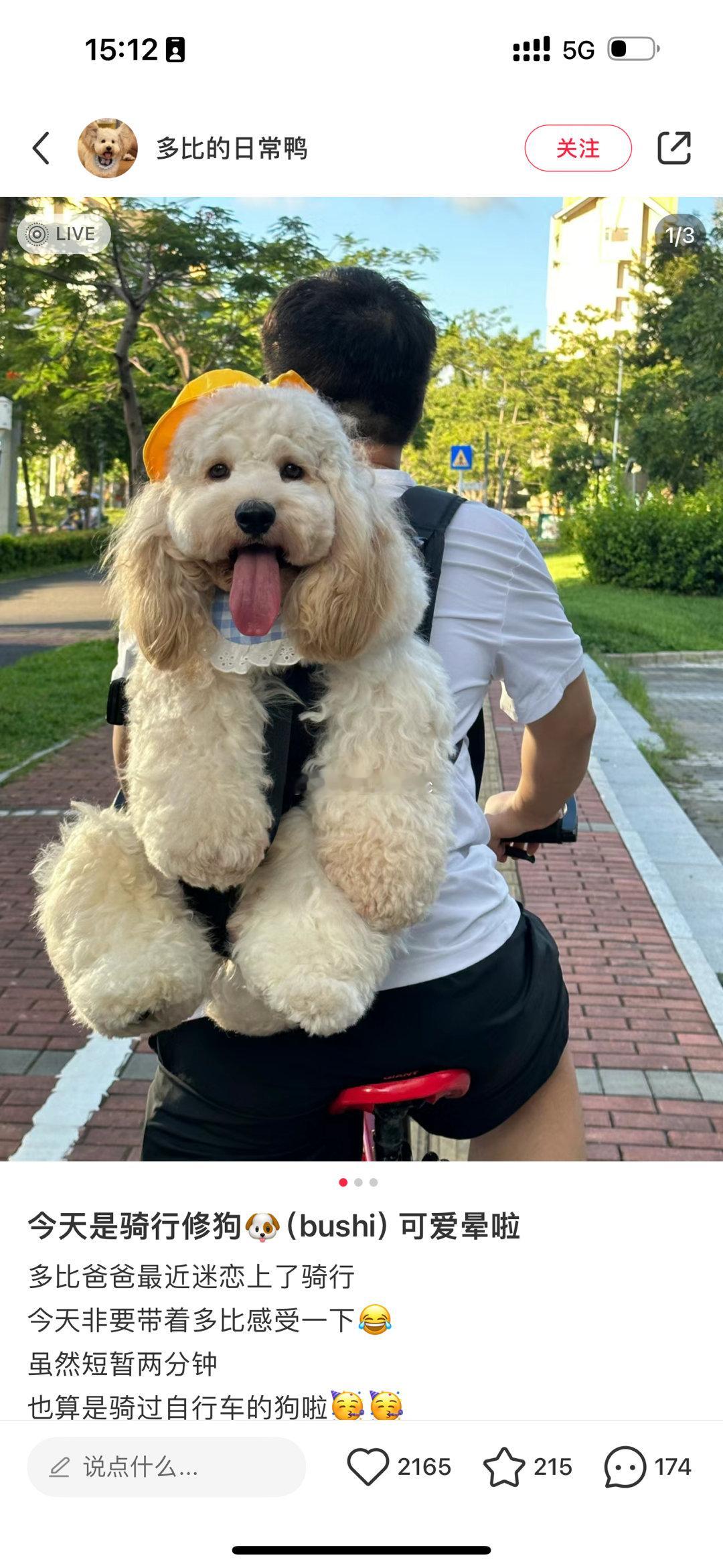 想养二胎了，小黑还是小卡呀？ ​​​