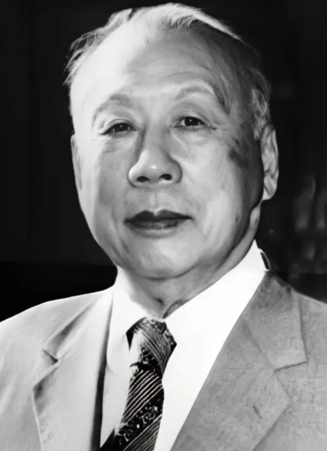 1945年9月底，已经投降的日军航空队队长林弥一郎，不经意间瞥见了伍修权腰间那支