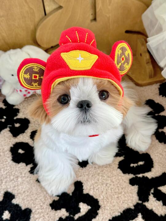 西施这个名字不是随便叫的