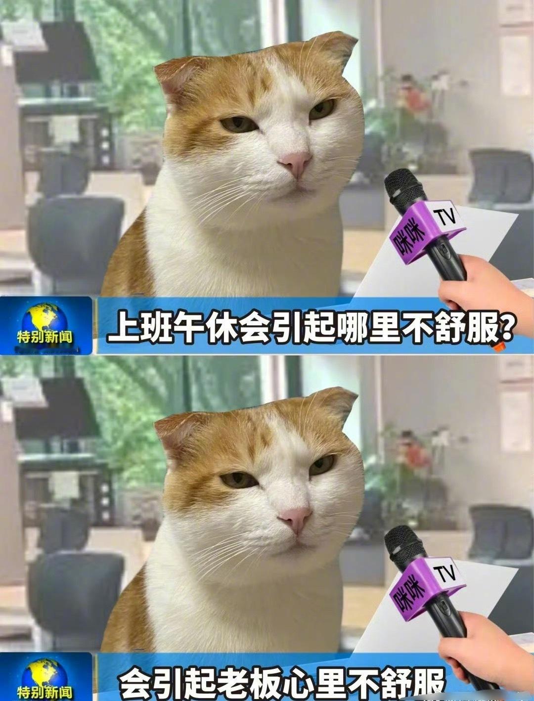 上班午休会哪里不舒服[思考] ​​​