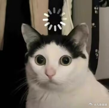 我有个朋友想问一下，就这个粽子啊，它是必须用生米包生馅裹起来再蒸熟，还是说也可以