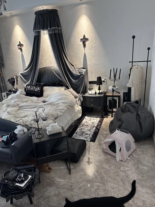 我的审美有非常强的攻击性