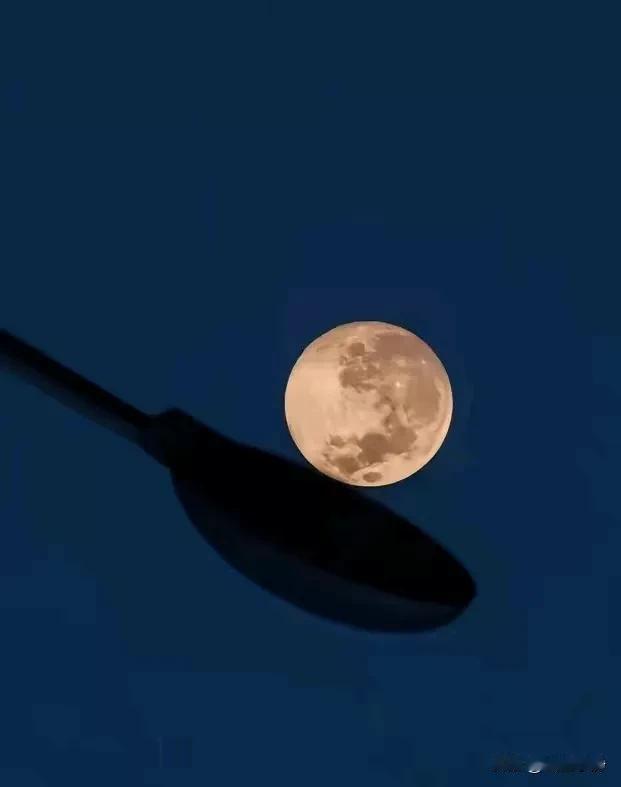 赏天上的月，
吹人间的风 ，
愿世间所有的团圆，都不必跋山涉水相见。
清风明月，