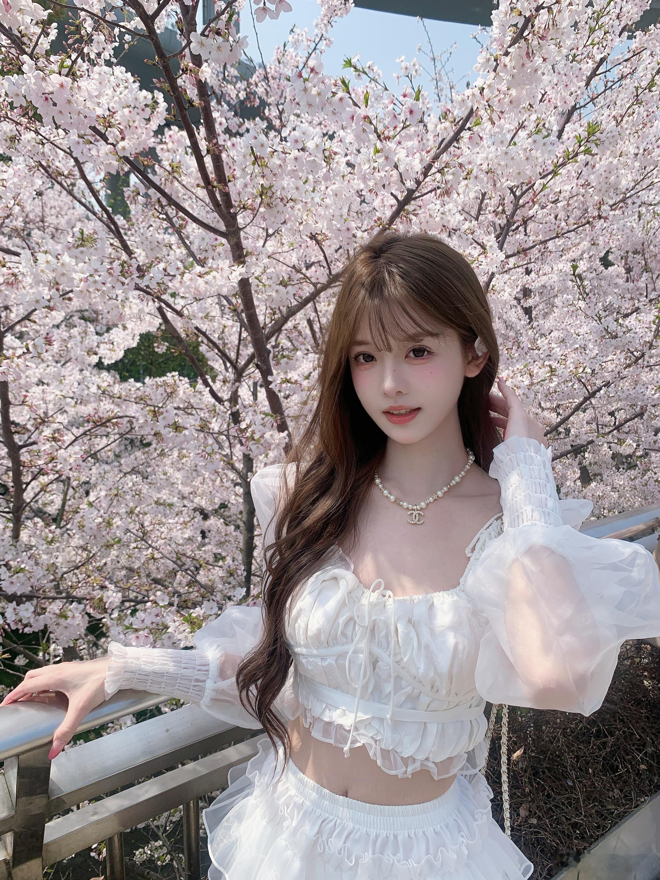 🌸𝓢𝓪𝓴𝓾𝓻𝓪 樱花树下站谁都美～4月2号在汶水路地铁站拍的📷今