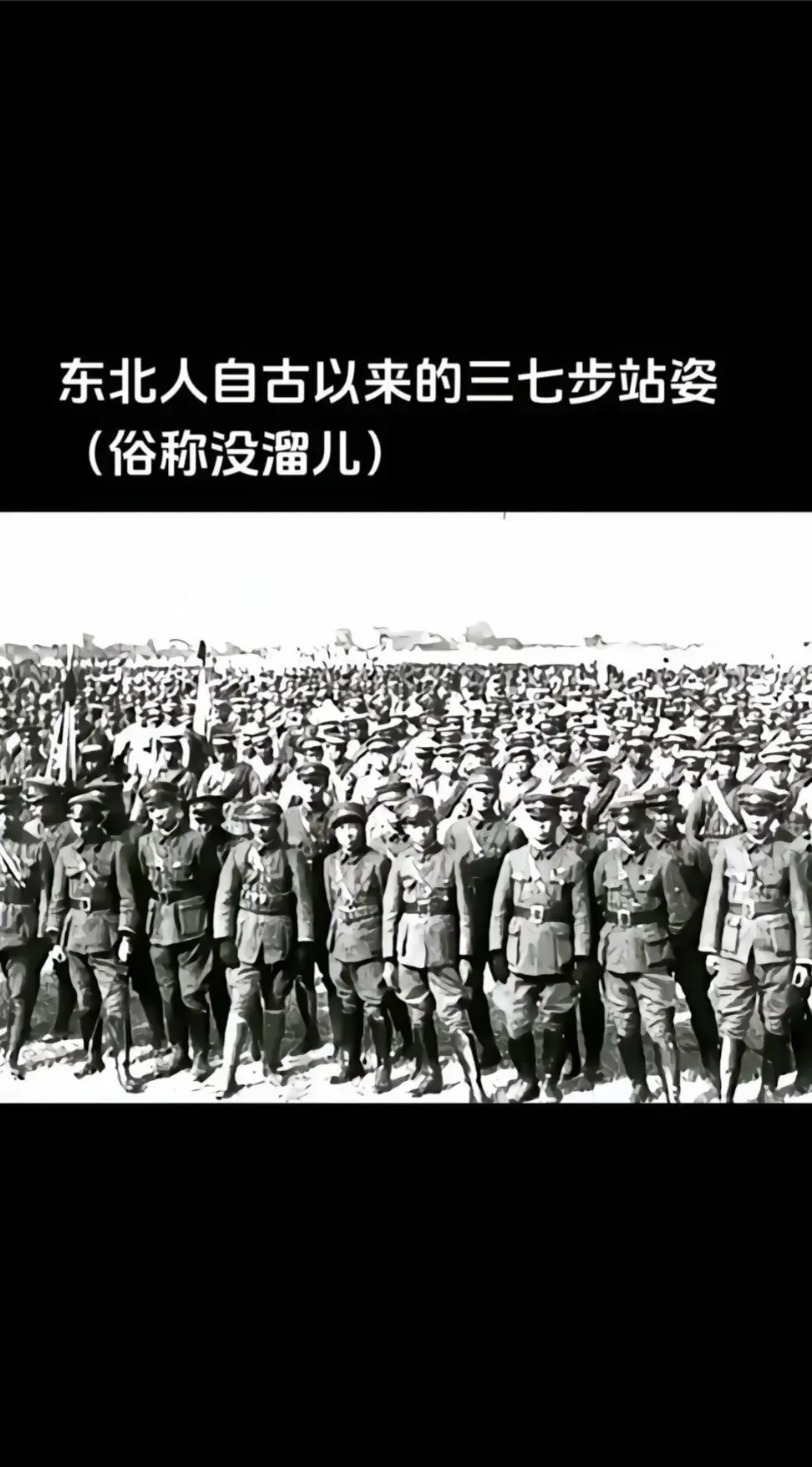 纯正血统