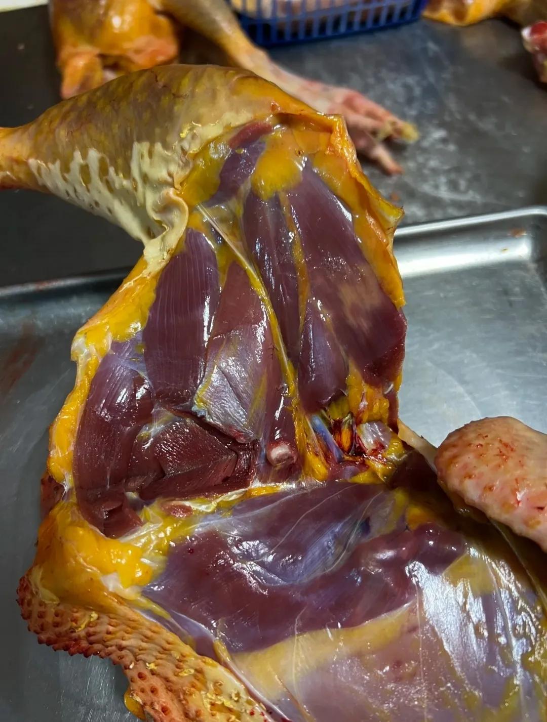 老婆买的土鸡切开发现太红了，准备去退了，你们说该退吗？这鸡有问题吗？