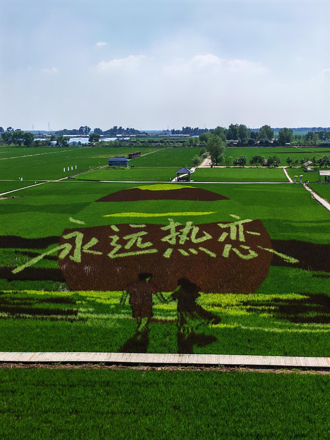 沈阳的“稻梦空间”好玩的还挺多，昨天玩了一天，非常尽兴。
昨天和朋友一起去了“稻