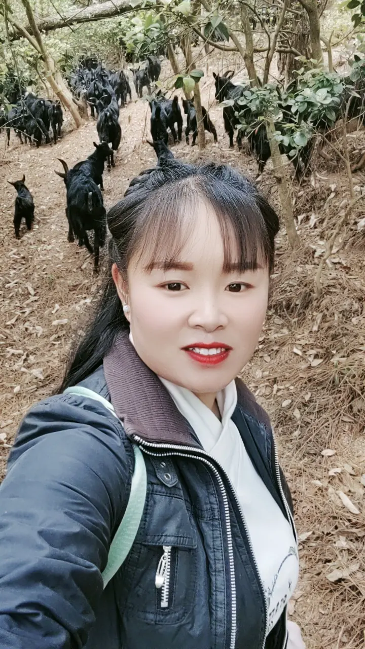 我在等我的小羊长大，长大了就可以换米米