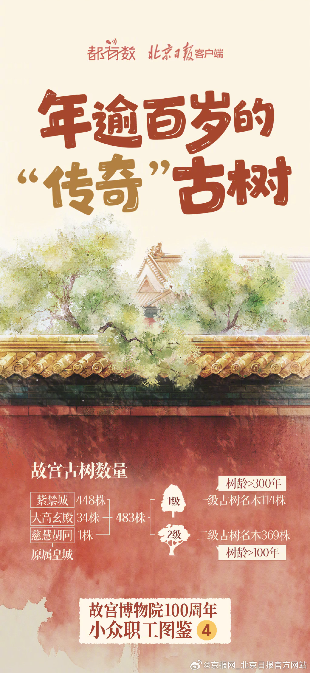 【#故宫有群小众职工#】#故宫古树守护紫禁城超百年# 10月10日是故宫建院10