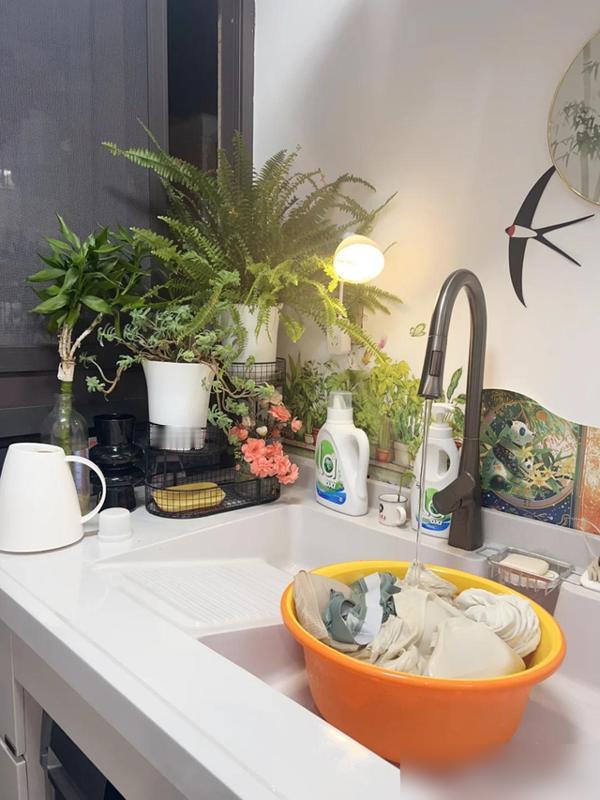 号称“养不死”的5种耐阴花，是北阳台的福音，越晒越养不活！
北阳台采光差这事儿，