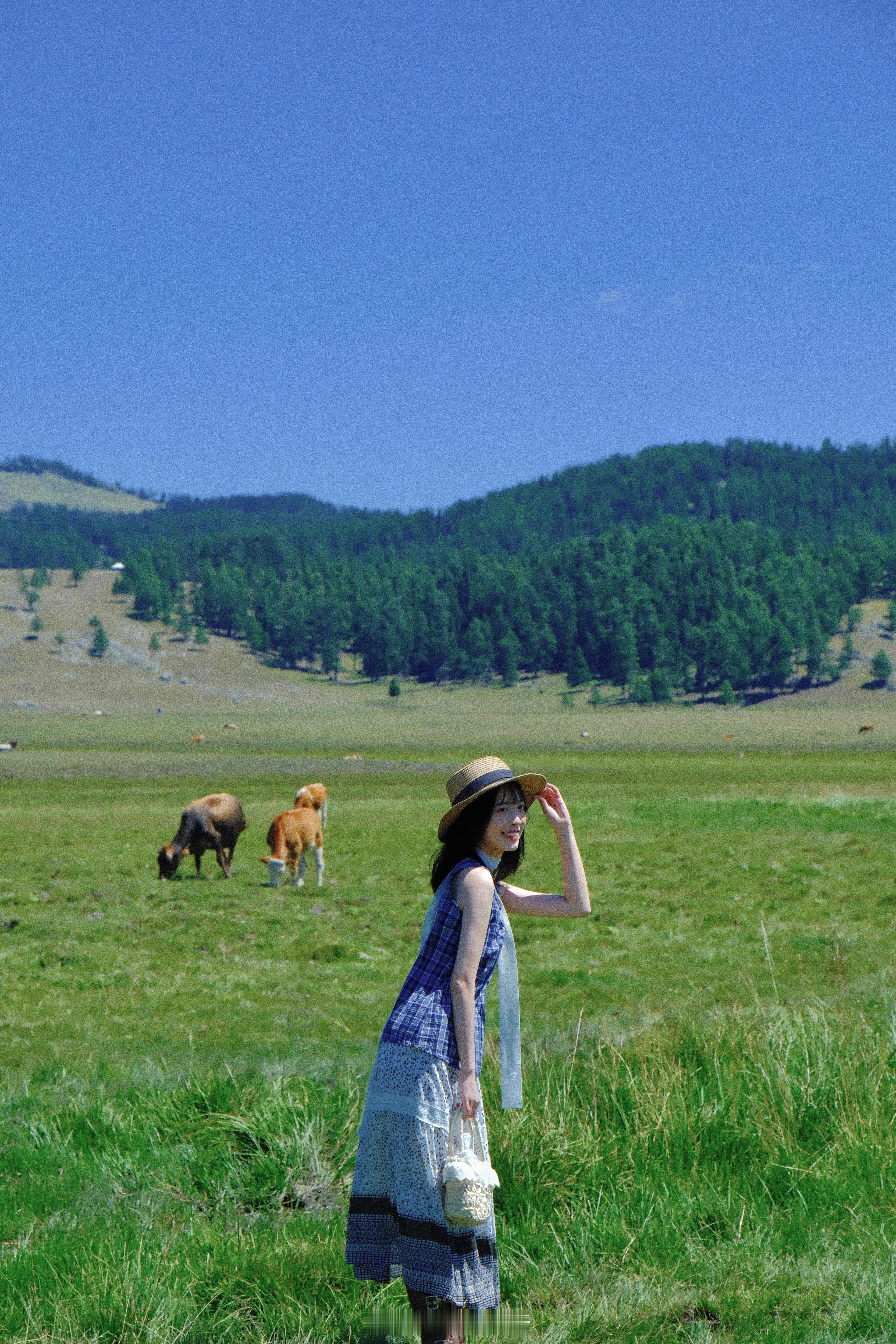 途径阿禾公路 牛羊遍地🐂🐑这里的小院 像故事里的童话小镇🏚️  ​​​