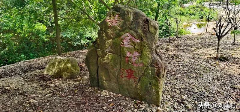 《流金谷恩仇录》为何让人“上头” 《流金谷恩仇录》为何让人“上头”
最近，《流金