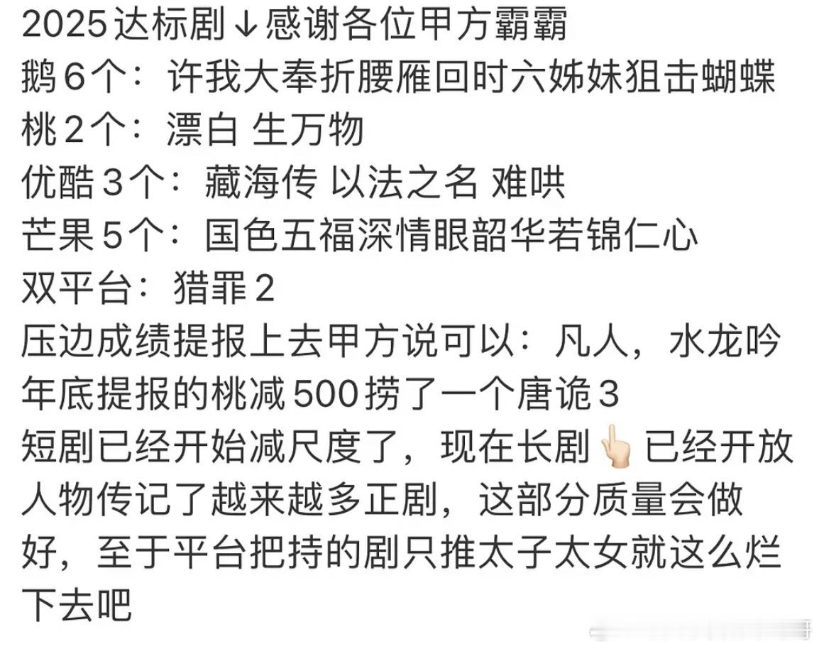 2025年各平台达标剧 