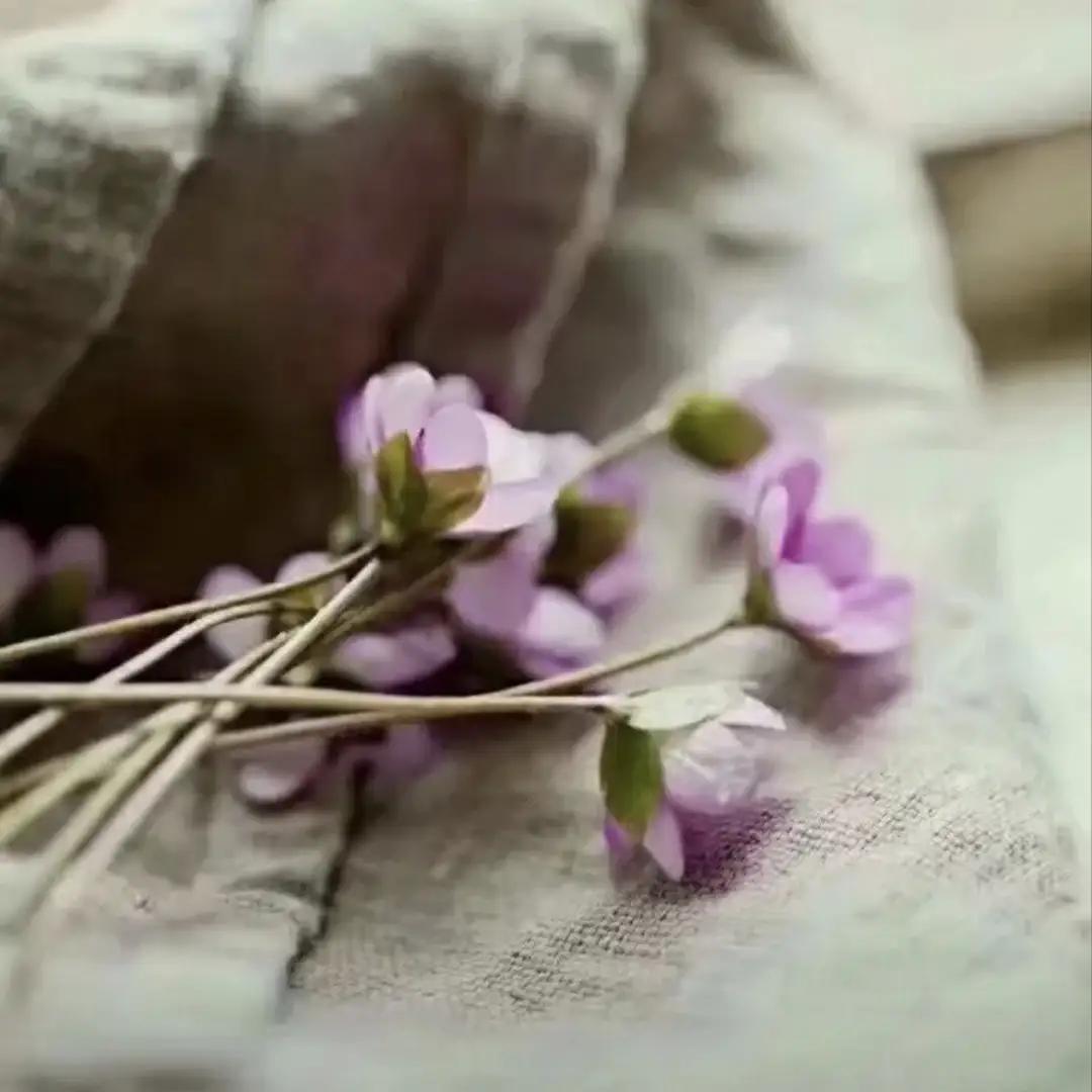 能被一件小事打动，不是脆弱。恰恰说明，你还感受得到别人对你的好，也还愿意相信，生