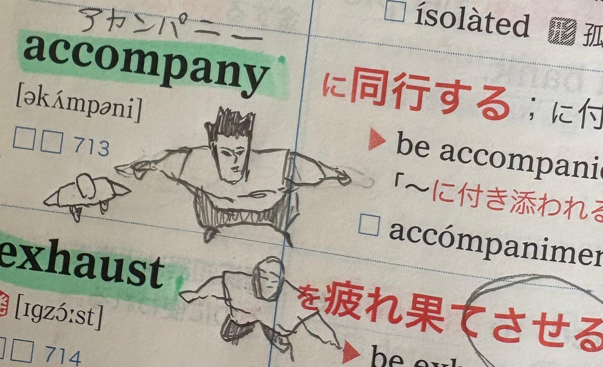 猎人粉丝如何背单词