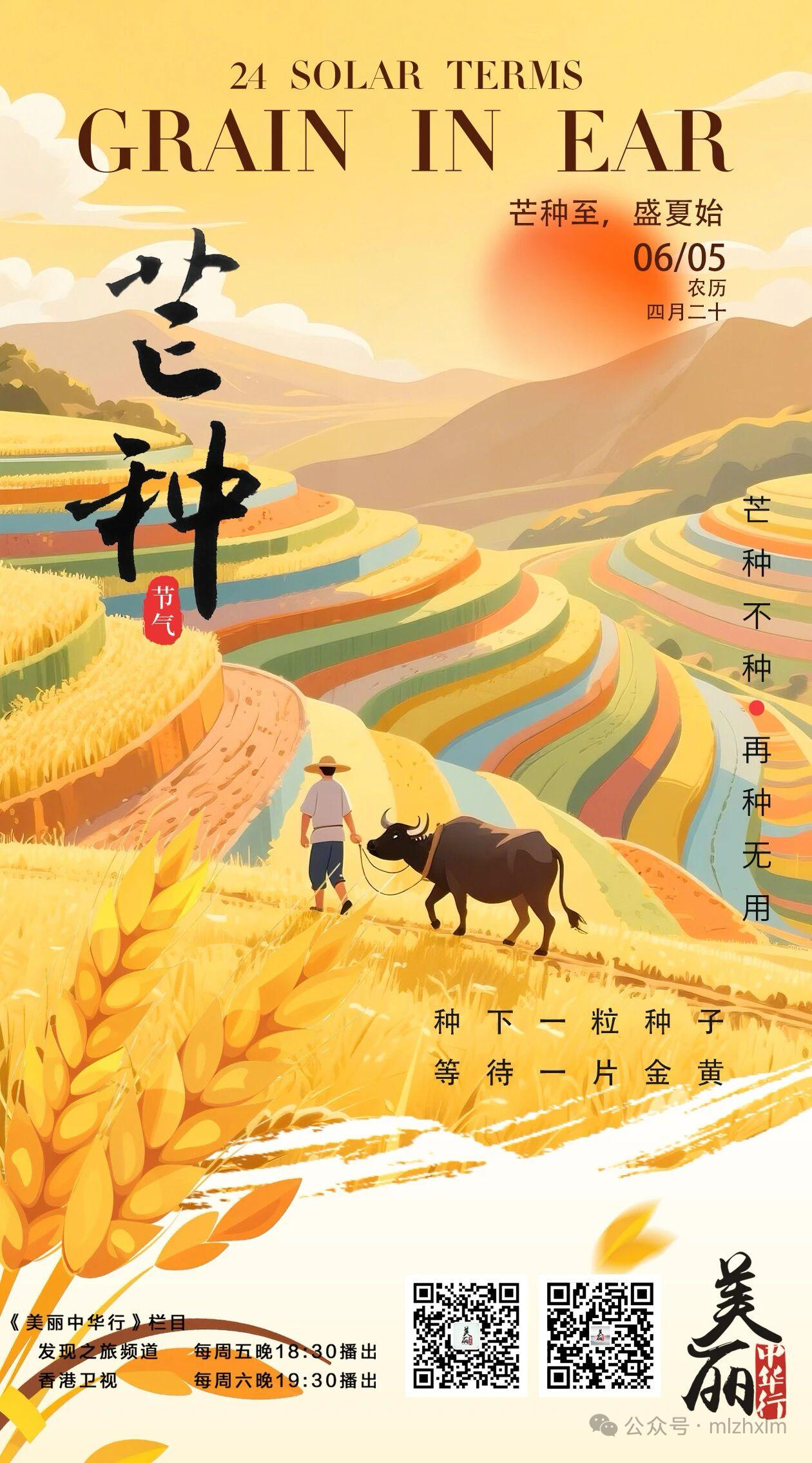 有播种，才有收获。
有耕耘，才有所得。
麦收芒种