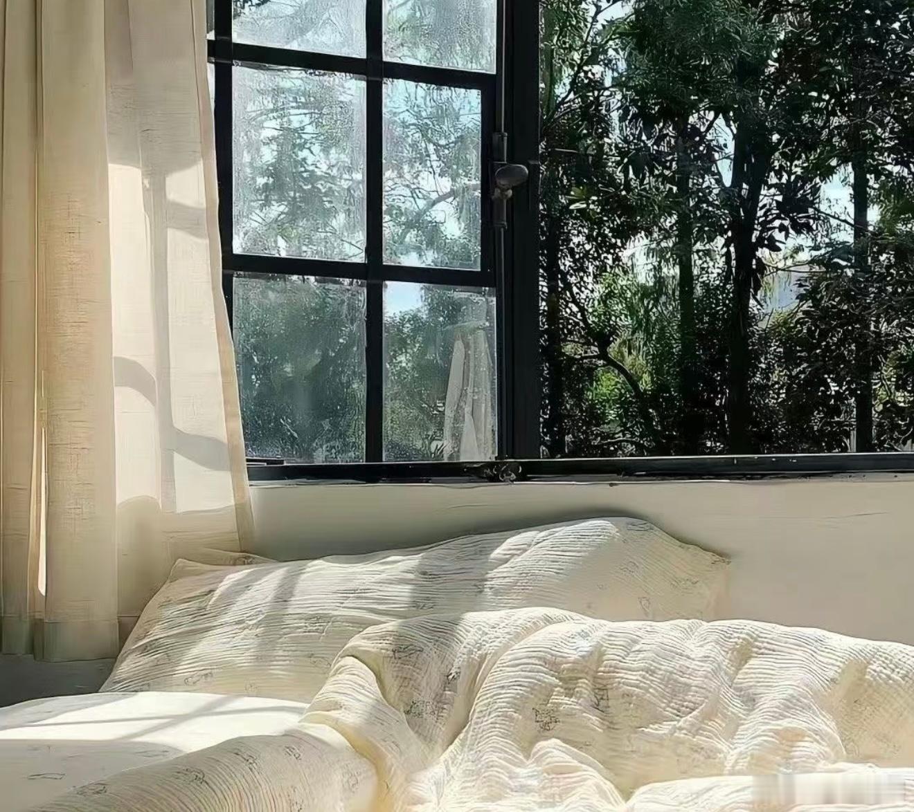 中国人对于晒被子的执念晒完的被子有一股阳光的味道，任何人盖着这种被子都会感觉到幸