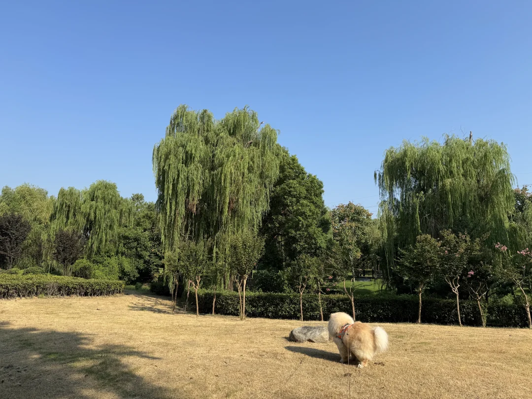 hi…你是来拉屎的吧