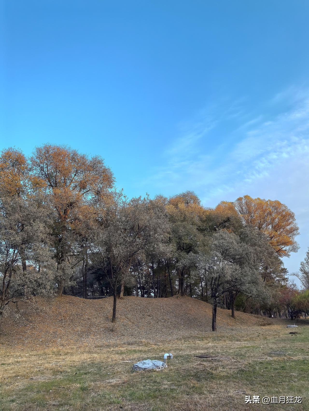 俄乌战场又来新消息，小乌这战争打的跟闹着玩似的！

红军城被大俄围困之后，小泽坐