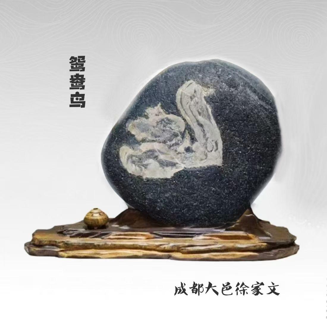 《鸳鸯鸟》