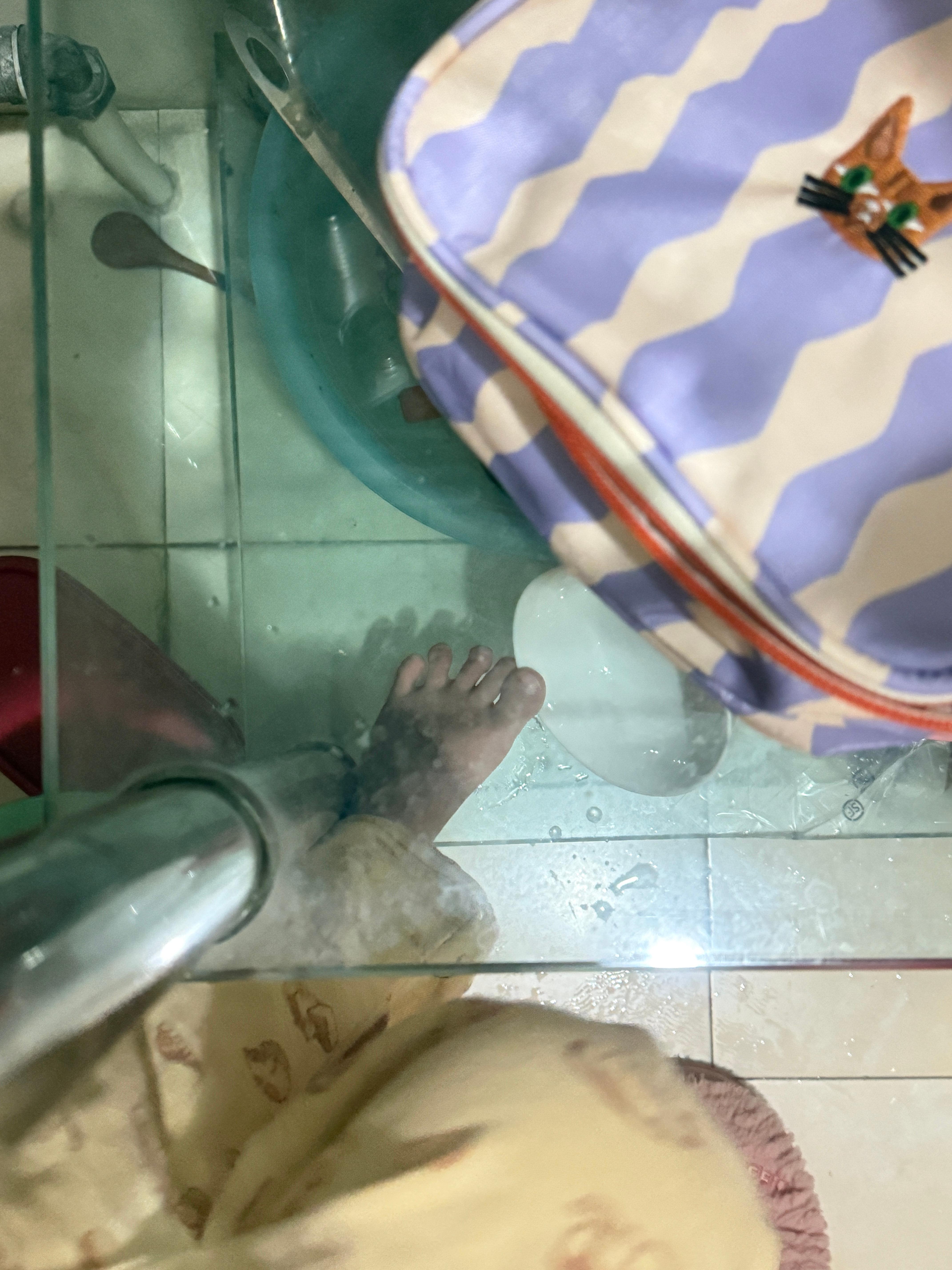 拍着照差点摔倒摔得过程中还拍了几张什么自媒体圣体 