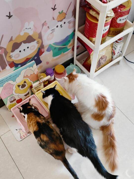 弗列加特大户人家