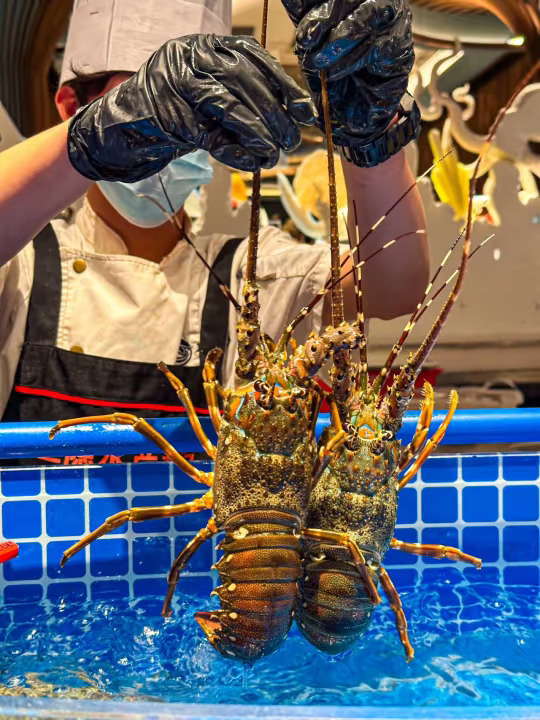 上海海鲜自助宗师级别的存在……