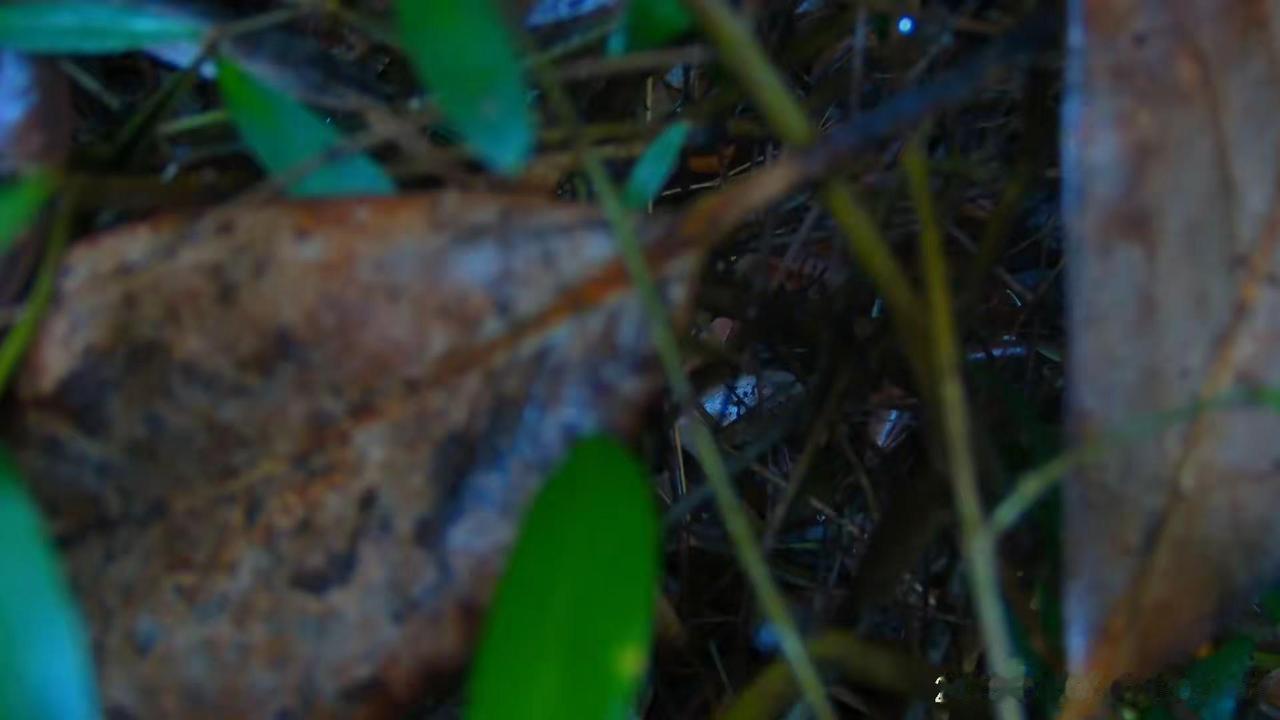 多去感受，多留意一些景物，不必看太多的书，读懂了万物，也就成了它们，又怎么会写出