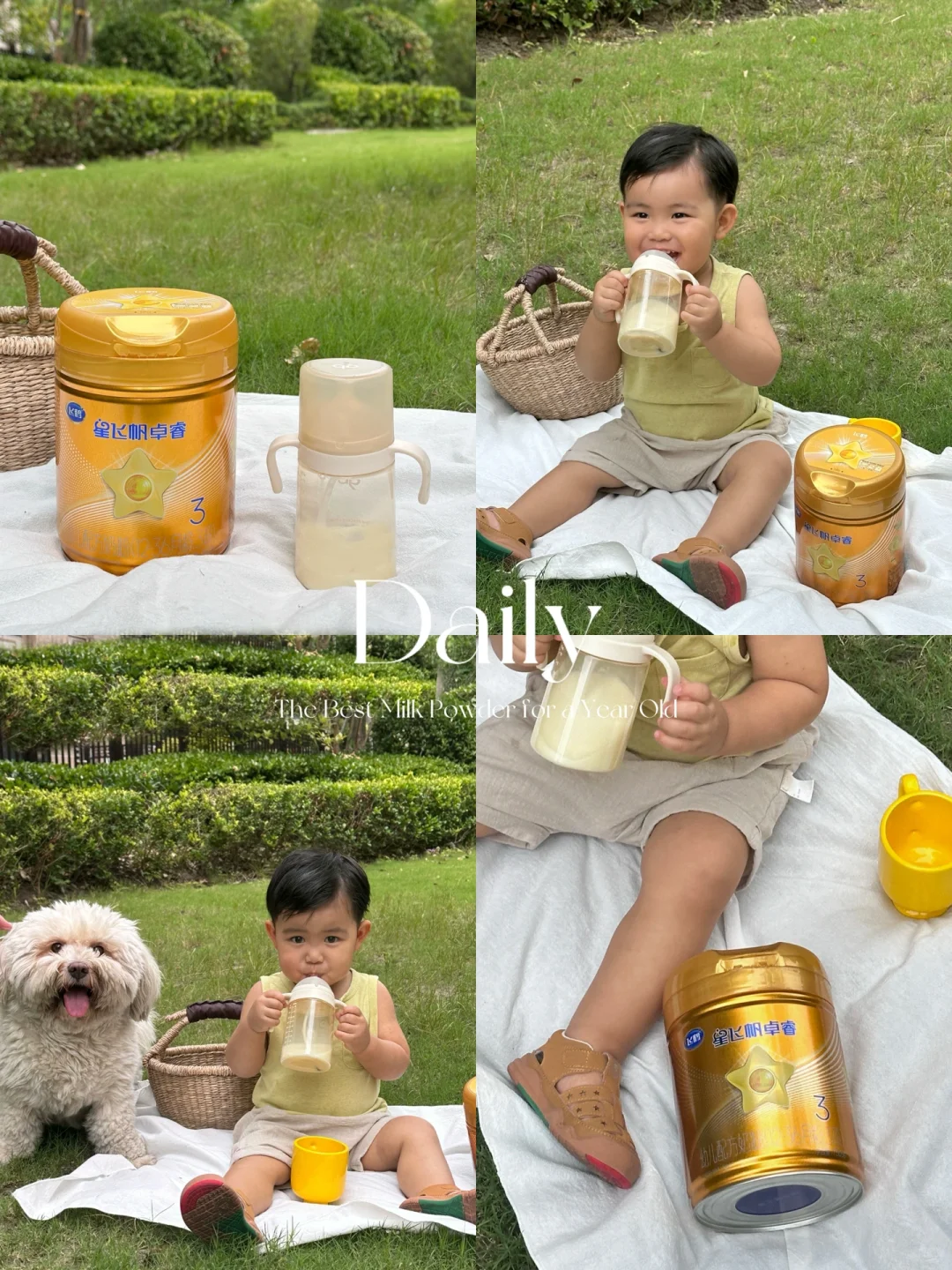 Plog｜快来看聪明宝宝从小的奶粉搭子