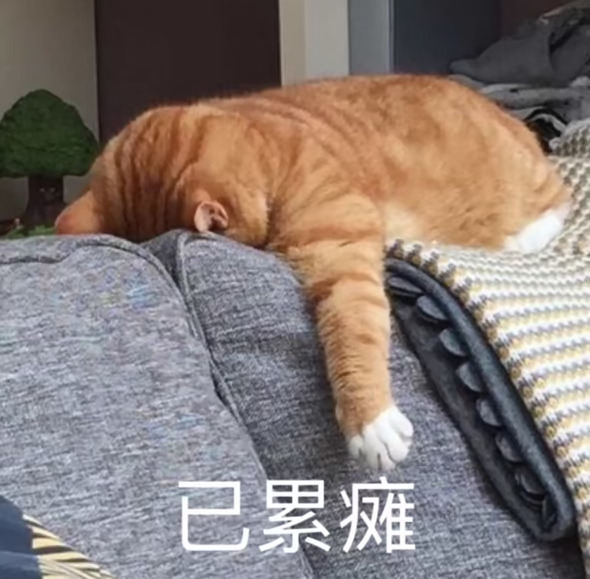 捋一下今天我都做了些什么：一大早被电话吵醒让我回乡下送我妹去找朋友玩去遥远的一个
