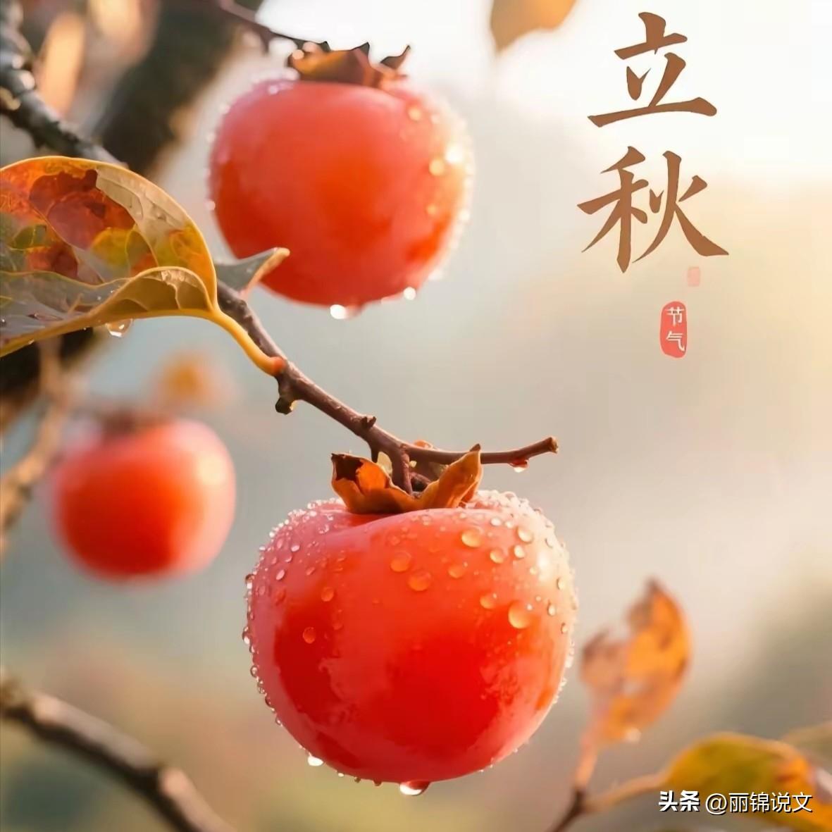立秋还分公母？老话“公秋爽、母秋凶”，今年秋后到底热不热

 

马上就要立秋了