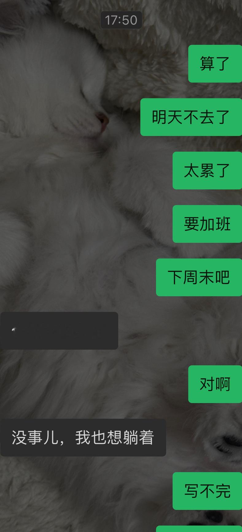 下周再去朝悦拍结婚证吧