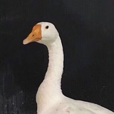 暖刺热聊教育