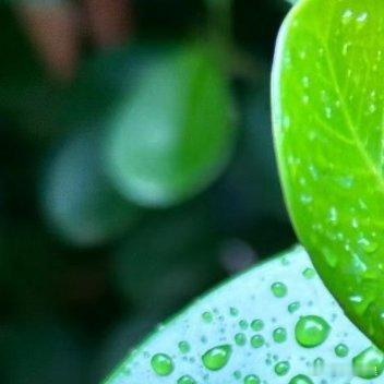 阳光信用每日一善一生爱恋，只为你而深，一世长情，只为你而真，遇见你，是我人生中最