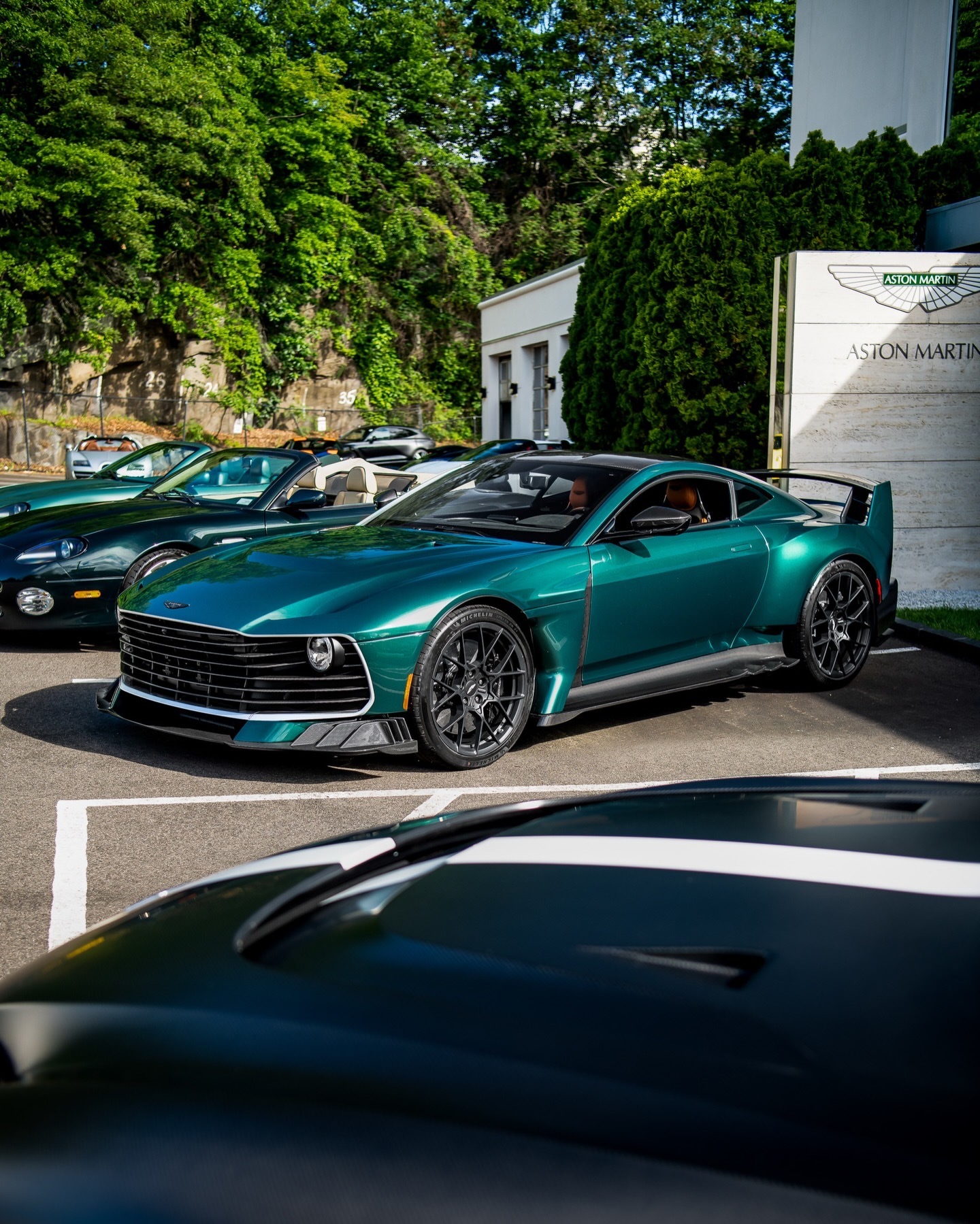 “要么三个踏板，要么没有。”🕹️••••••astonmartin valia