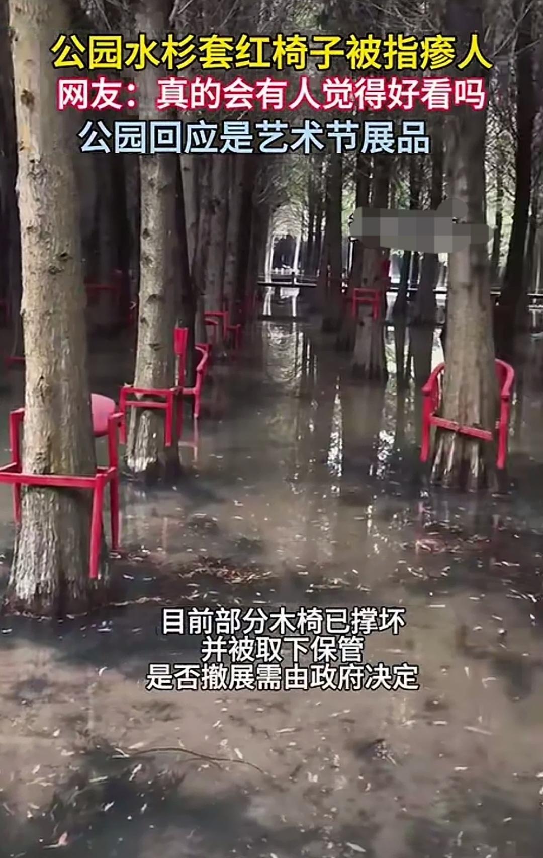 水杉林套上红椅子，咋越看越瘆人？
谁能懂啊！昆明水杉林里那些红椅子，真的是越看越